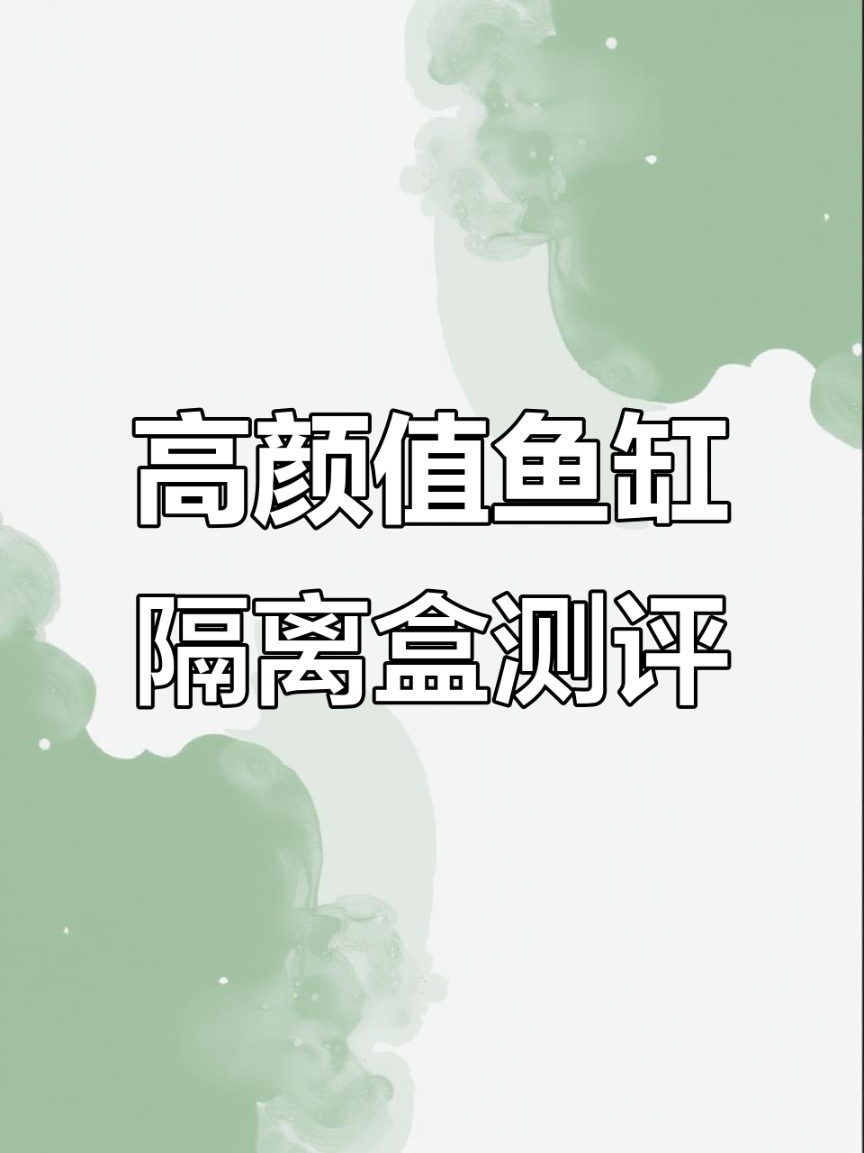 鱼缸繁殖隔离盒全方位评测:颜值高、耐用,但有这些缺点