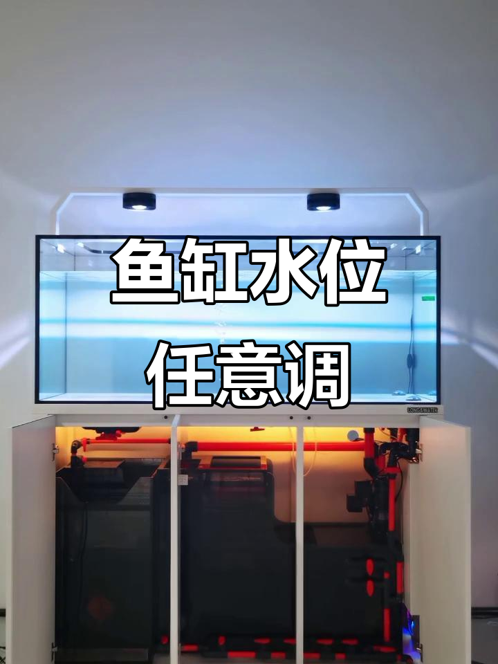 无管件鱼缸水位调节与补水技巧，轻松掌握