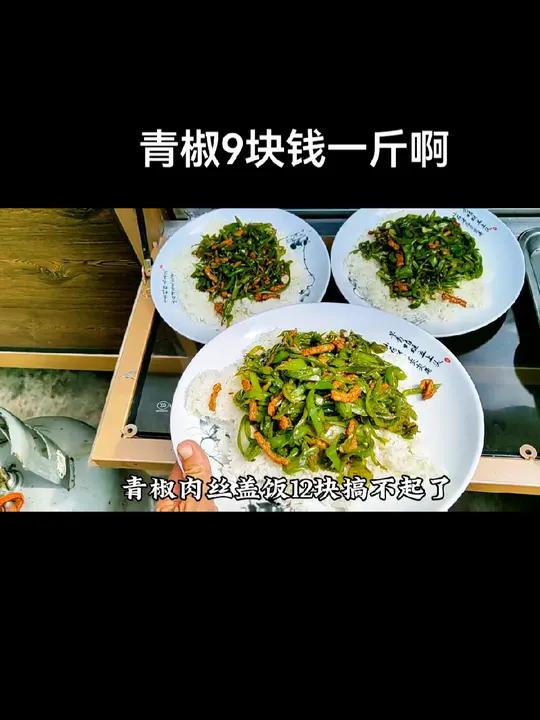 青椒9块钱一斤啊,都快赶上肉了,青椒肉丝盖饭12搞不起。摆摊 小海锅美食屋 小海锅生活记 
