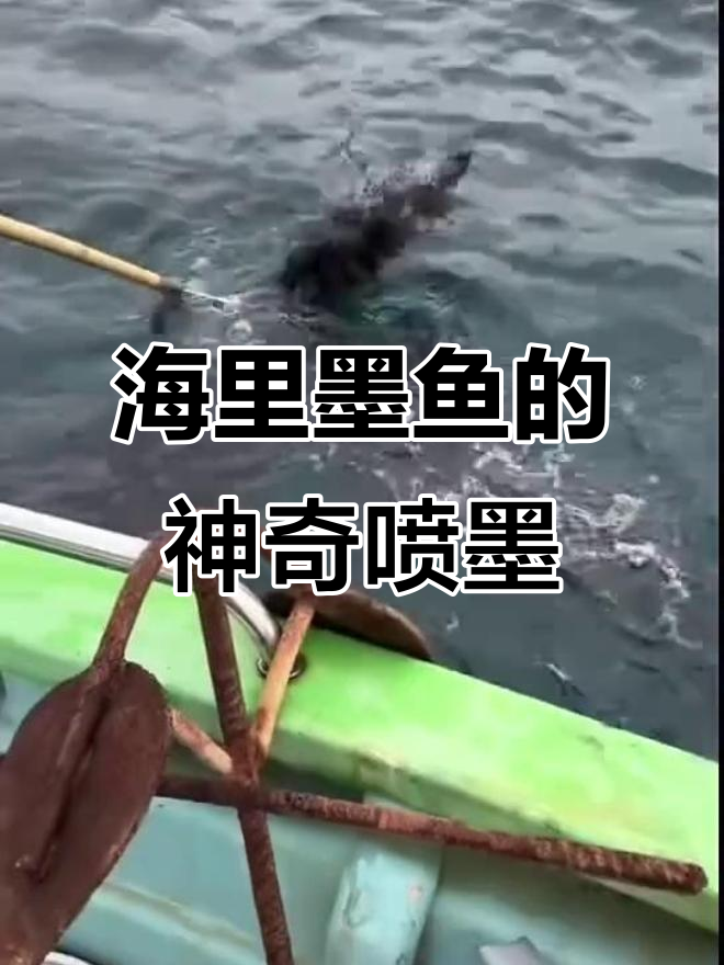 墨鱼喷墨惊人,古代都不用买墨水了
