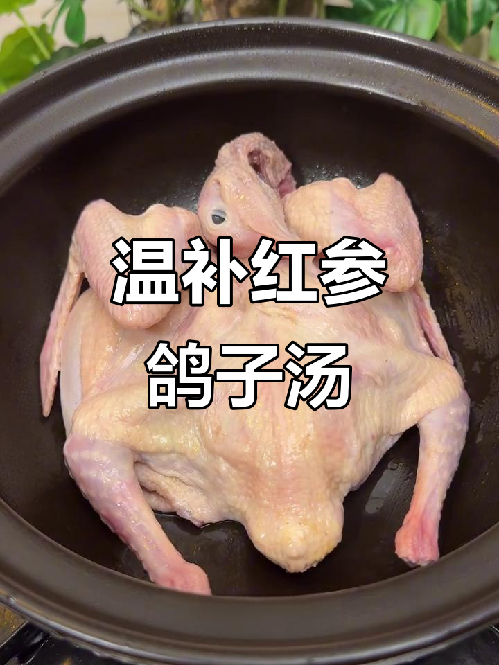 红参鸽子汤,滋补驱寒,每周两次喝出温暖