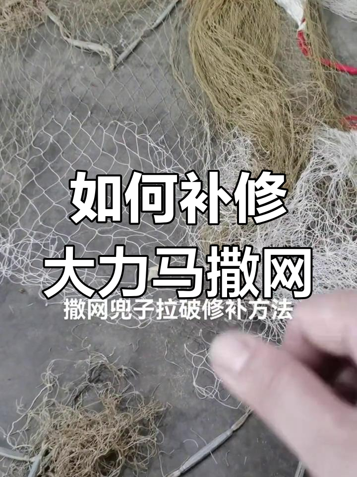 修补鱼网技巧大揭秘,从底缸到坠子全搞定