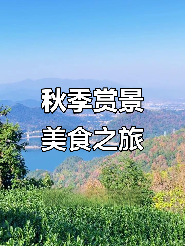 12月嵊州秋日徒步,10元豆腐年糕超值!