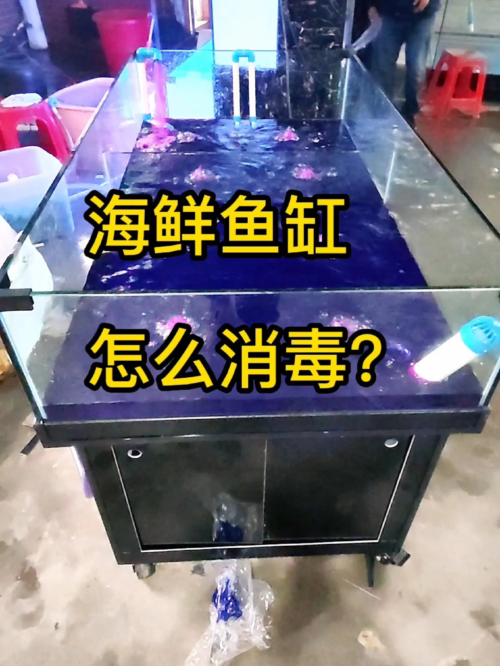 海鲜鱼缸怎么消毒?