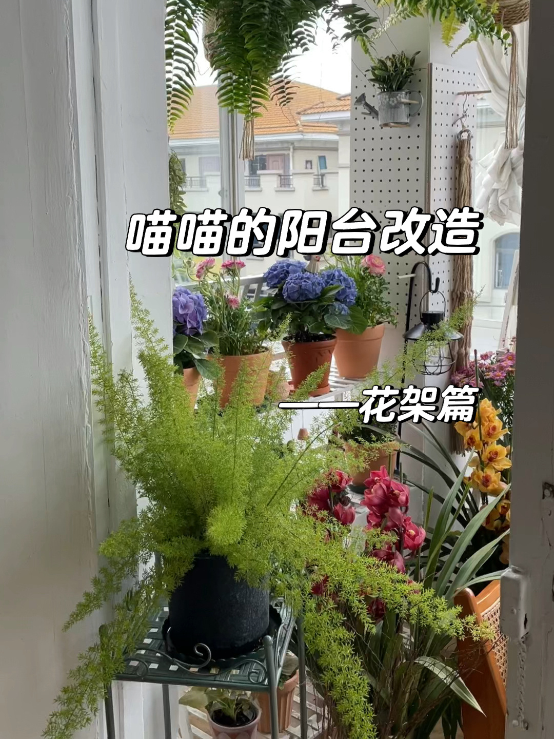 8.5平封闭阳台也能打造精致花园|花架合集