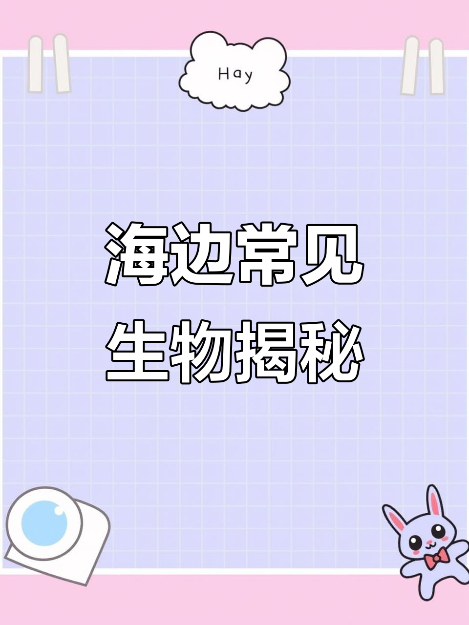 赶海时遇到这些动物,看看你认识吗?