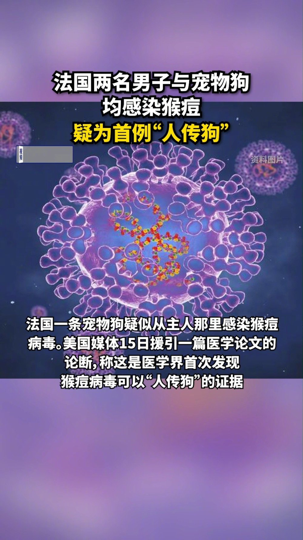 「法国两名男子与宠物狗均感染猴痘,疑为首例“人传狗”」法国一条宠物狗疑似从主人那里感染猴痘
