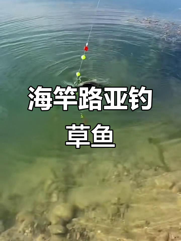草鱼海竿路亚钓法,轻松抛投数十米,夜间也能狂拉