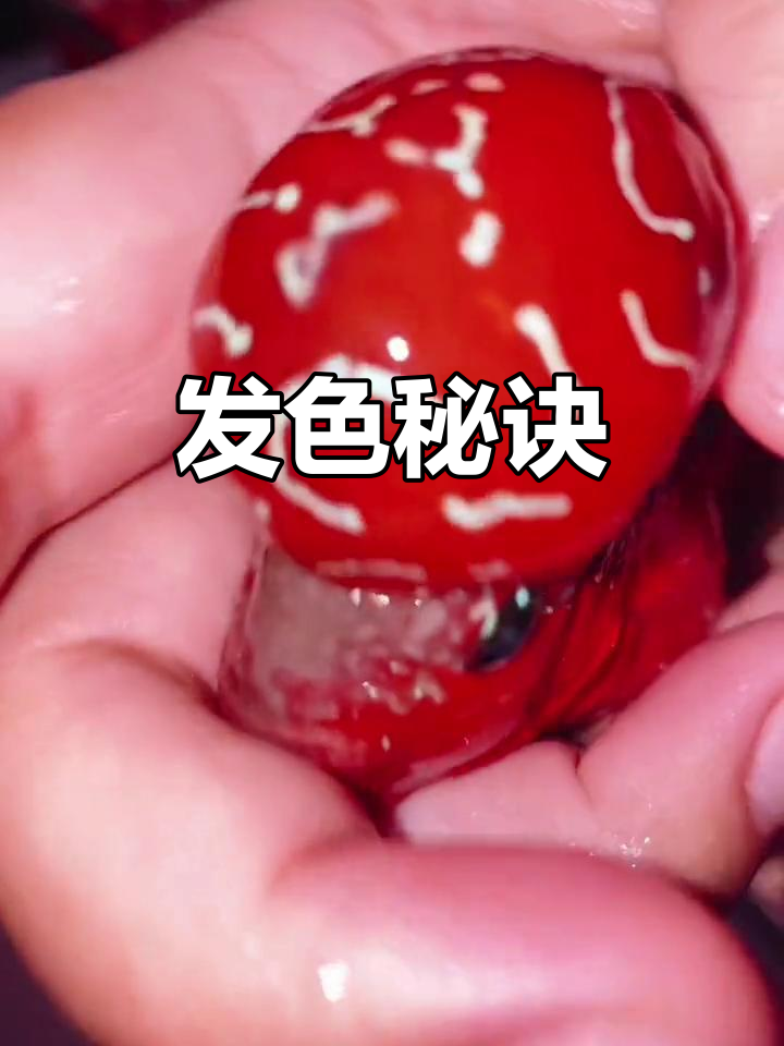 罗汉鱼发色关键:水质、灯光、食物与基因缺一不可