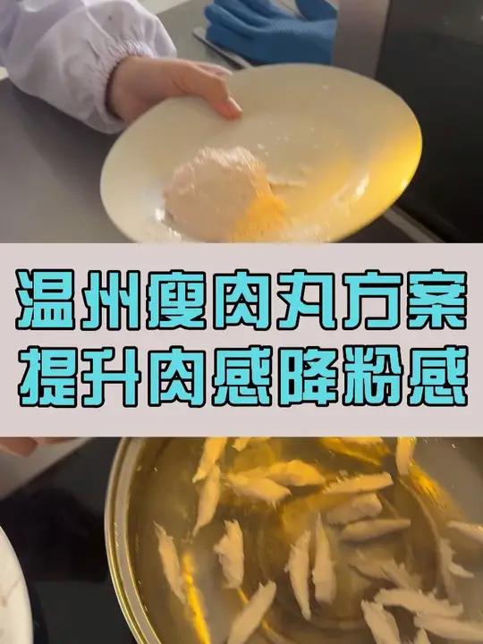 温州瘦肉丸、福鼎肉片整体方案,一对一产品技术指导,留言安排!