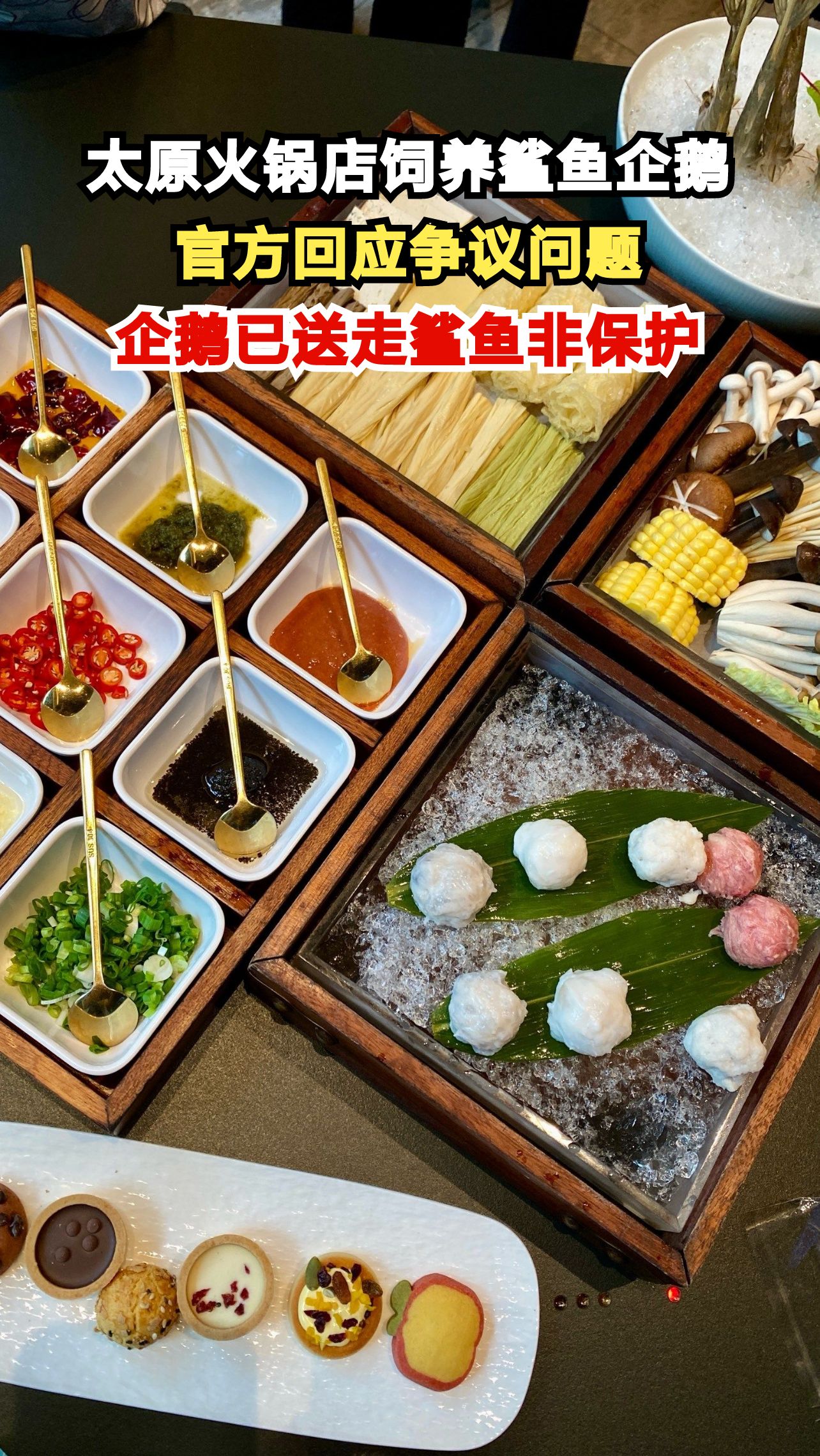 太原火锅店养鲨鱼引争议,官方回应:企鹅已送走,鲨鱼非保护动物