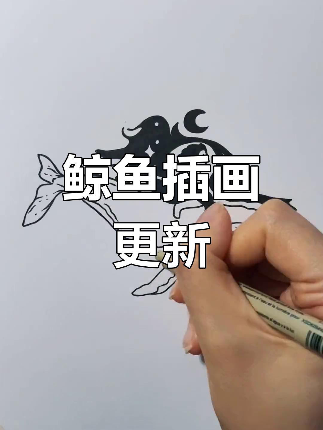 鲸鱼插画新一波,清风皓月共舞