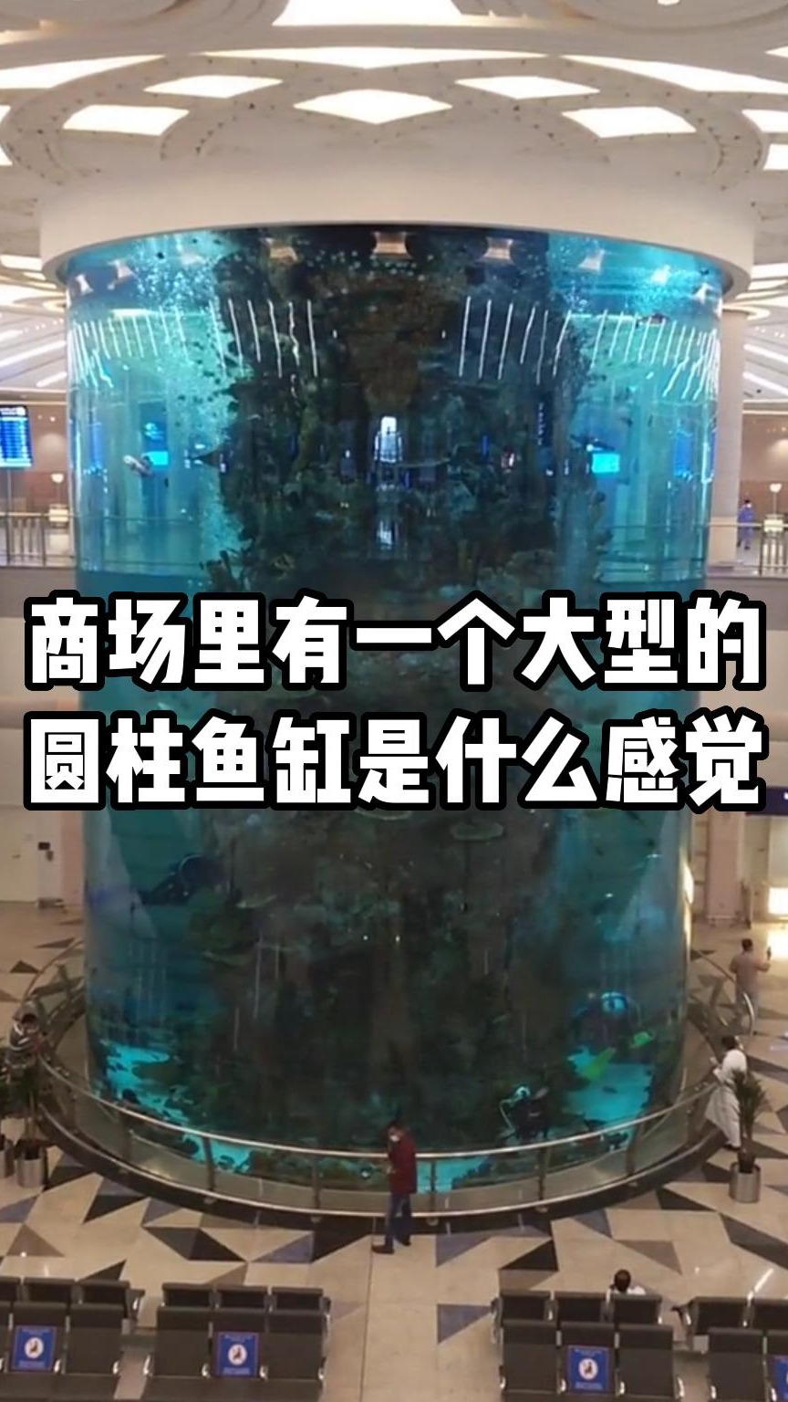在商场里有一个大型的圆柱鱼缸是什么样的感觉?