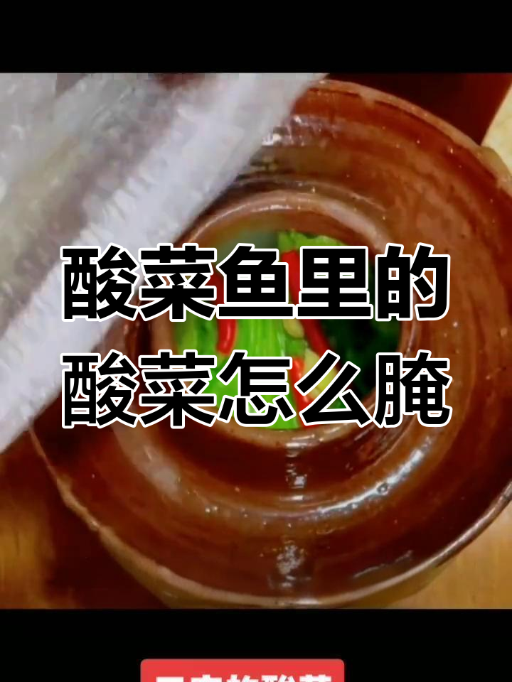四川酸菜鱼的秘密:如何腌制出脆嫩可口的酸菜