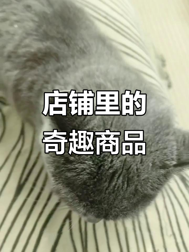 蛋糕店卖面包,菜市场有辣椒,厨房里啥都能买到