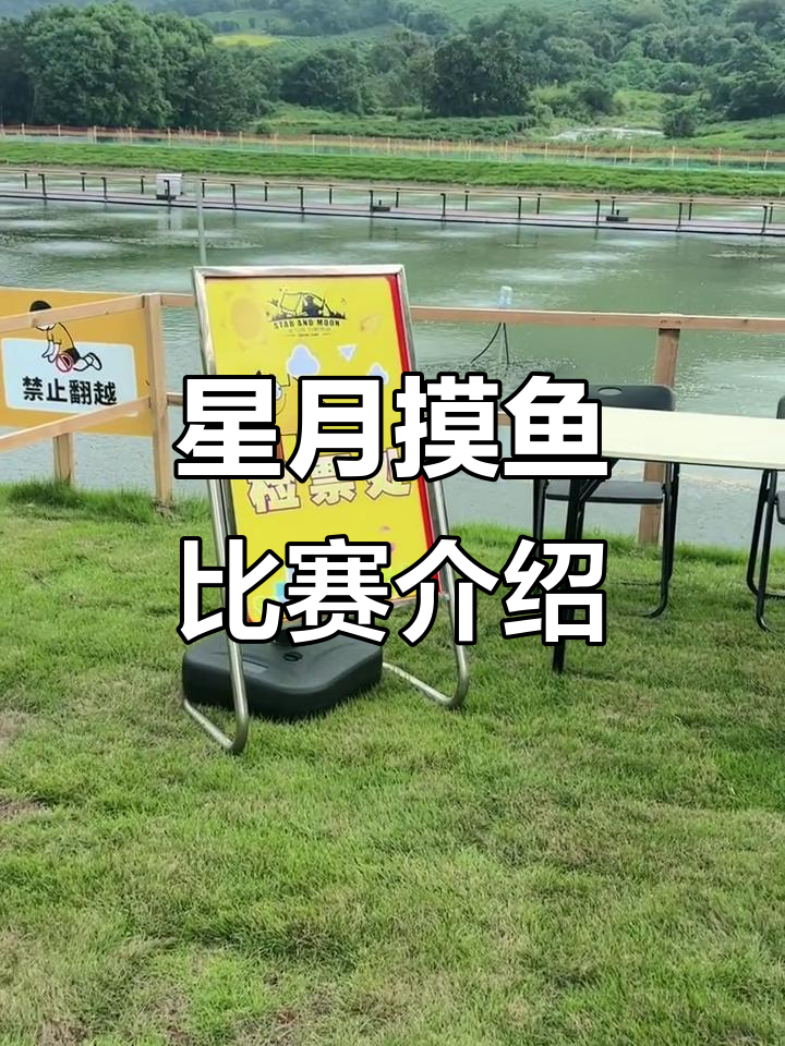 星月混水摸鱼大赛全流程揭秘，快来一起体验！