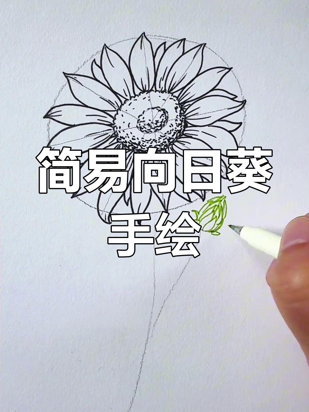 向日葵彩铅画法,简单又好看!