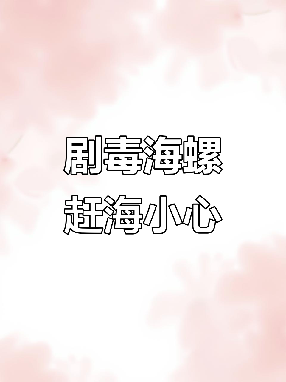 海螺也能致命!这种鸡心螺比眼镜蛇还毒