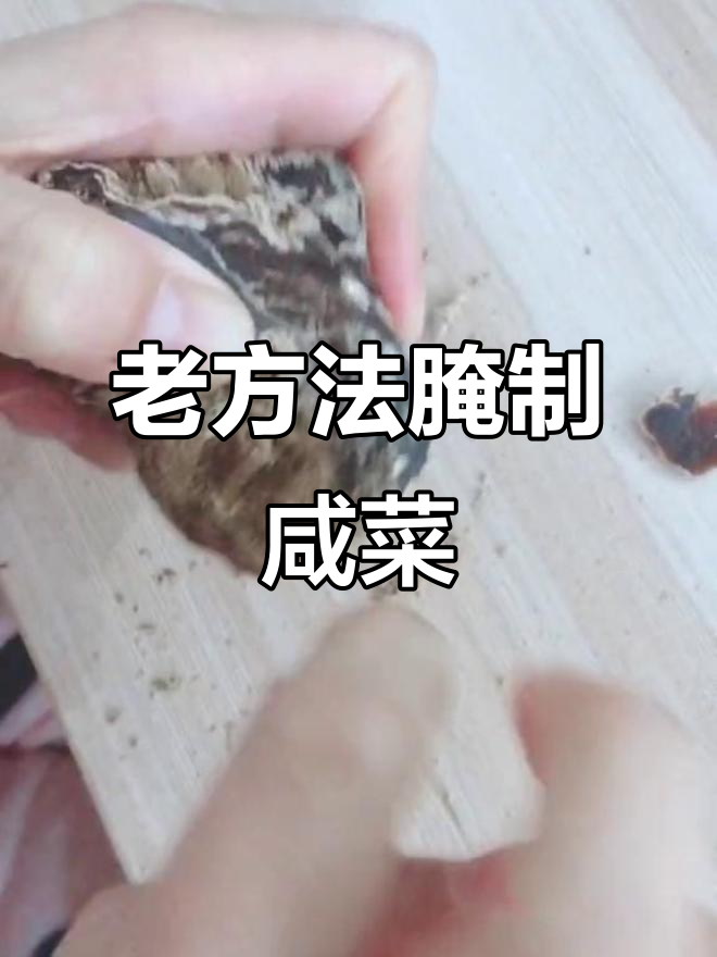 传统老办法腌咸菜,晒干后黑瓤更美味