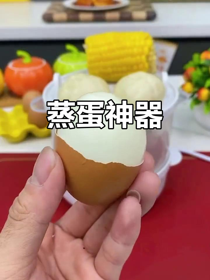 告别锅煮,蒸蛋器让鸡蛋更完美,还能热包子牛奶超省事!