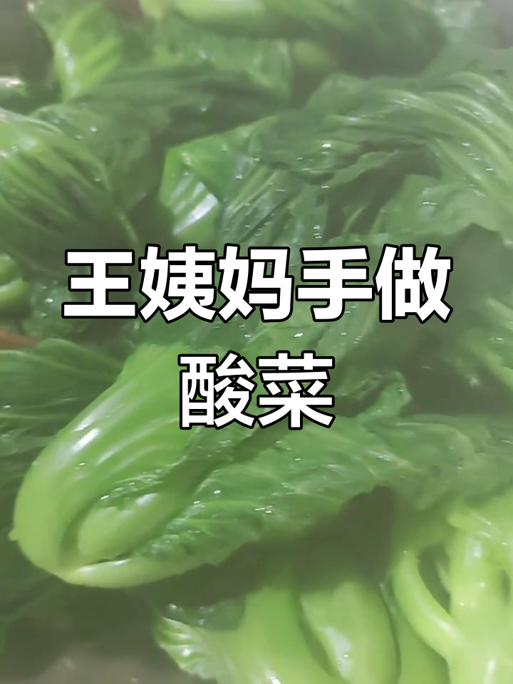 贵州王姨妈的酸菜做法,五斤青菜变美味!