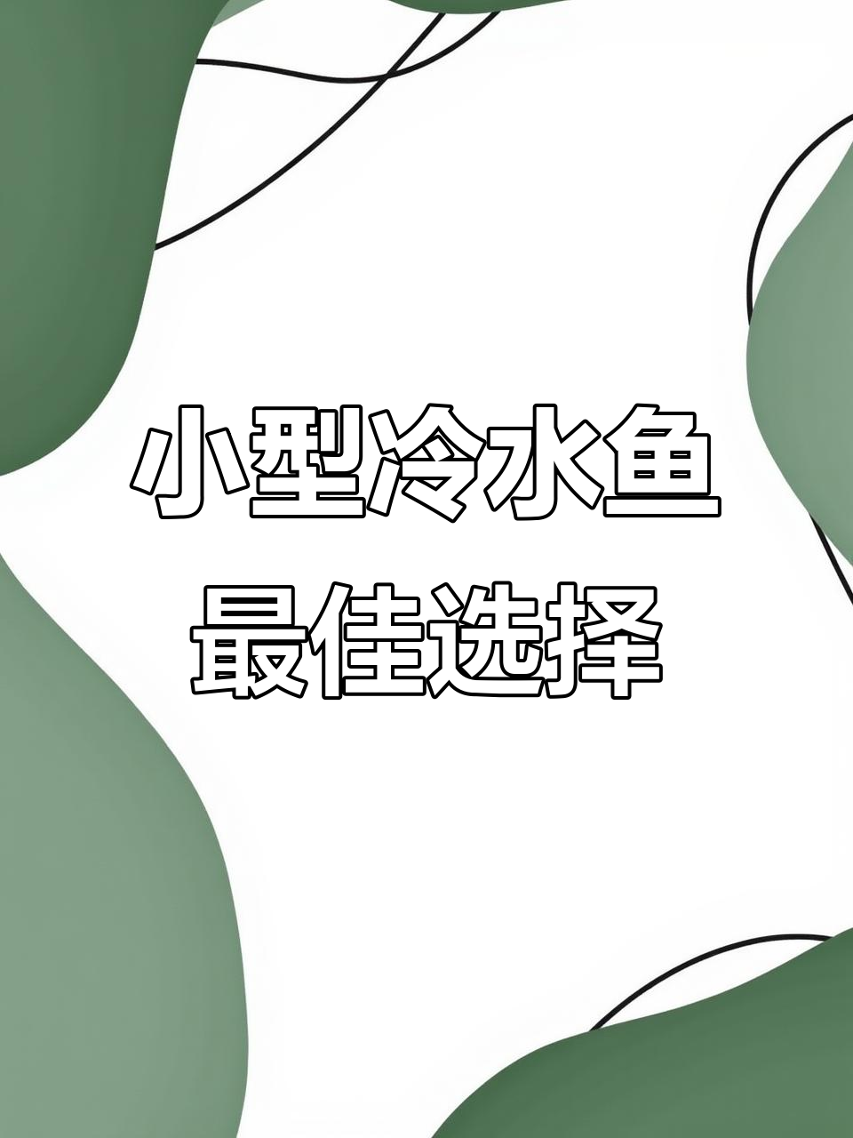 适合冷水鱼的小型生态缸,最适合养的三种鱼类推荐