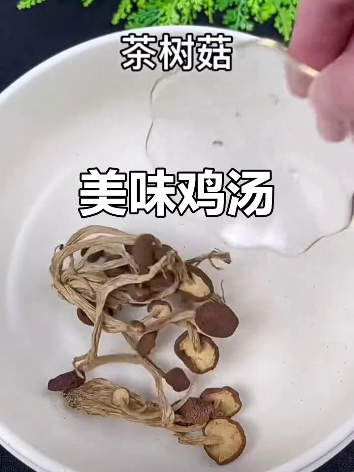 鸡松茸、茶树菇煲汤,鲜美开胃又滋补