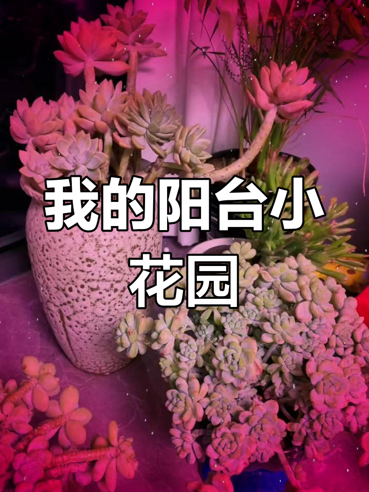 轻松养鱼,森森底滤鱼缸来帮忙