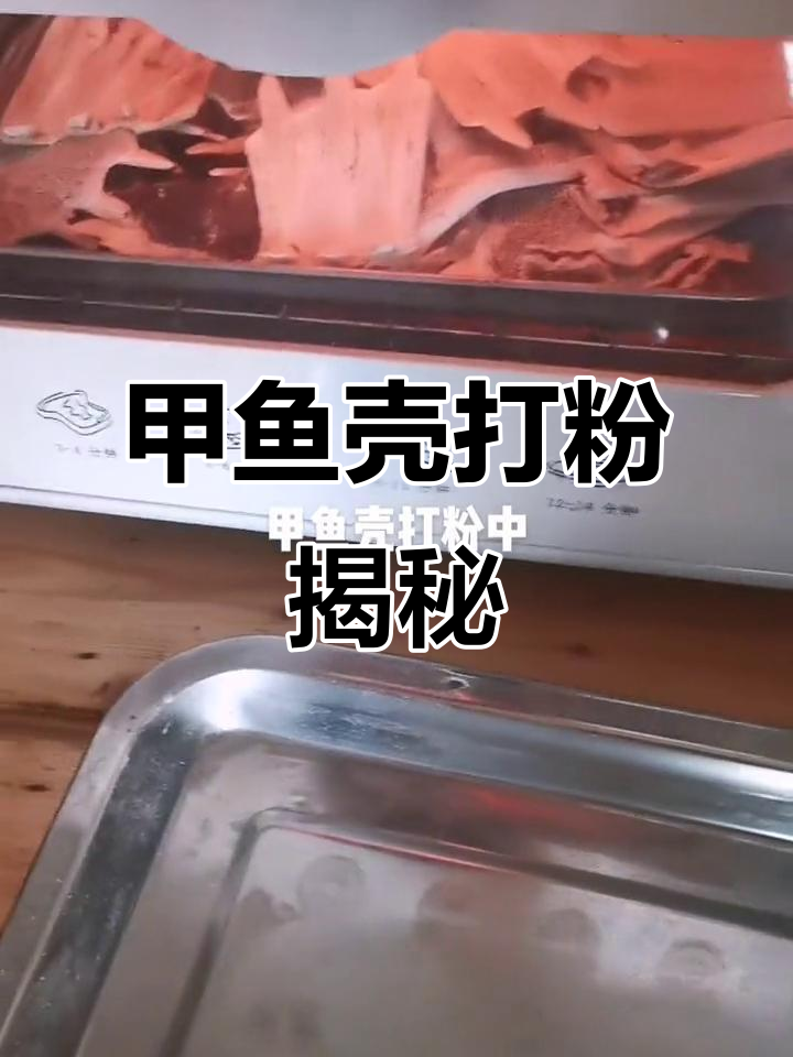 甲鱼壳打粉现场,竟然是这样操作的!