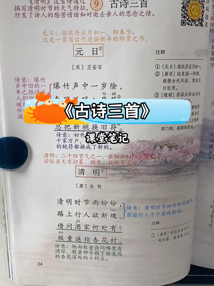 三年级语文第三单元《古诗三首》课堂笔记,家长必看