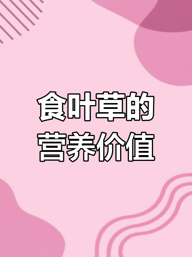 食叶草的营养益处