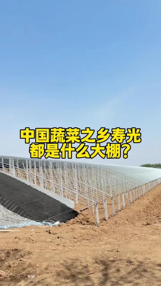 中国蔬菜之乡寿光都是什么样的大棚!