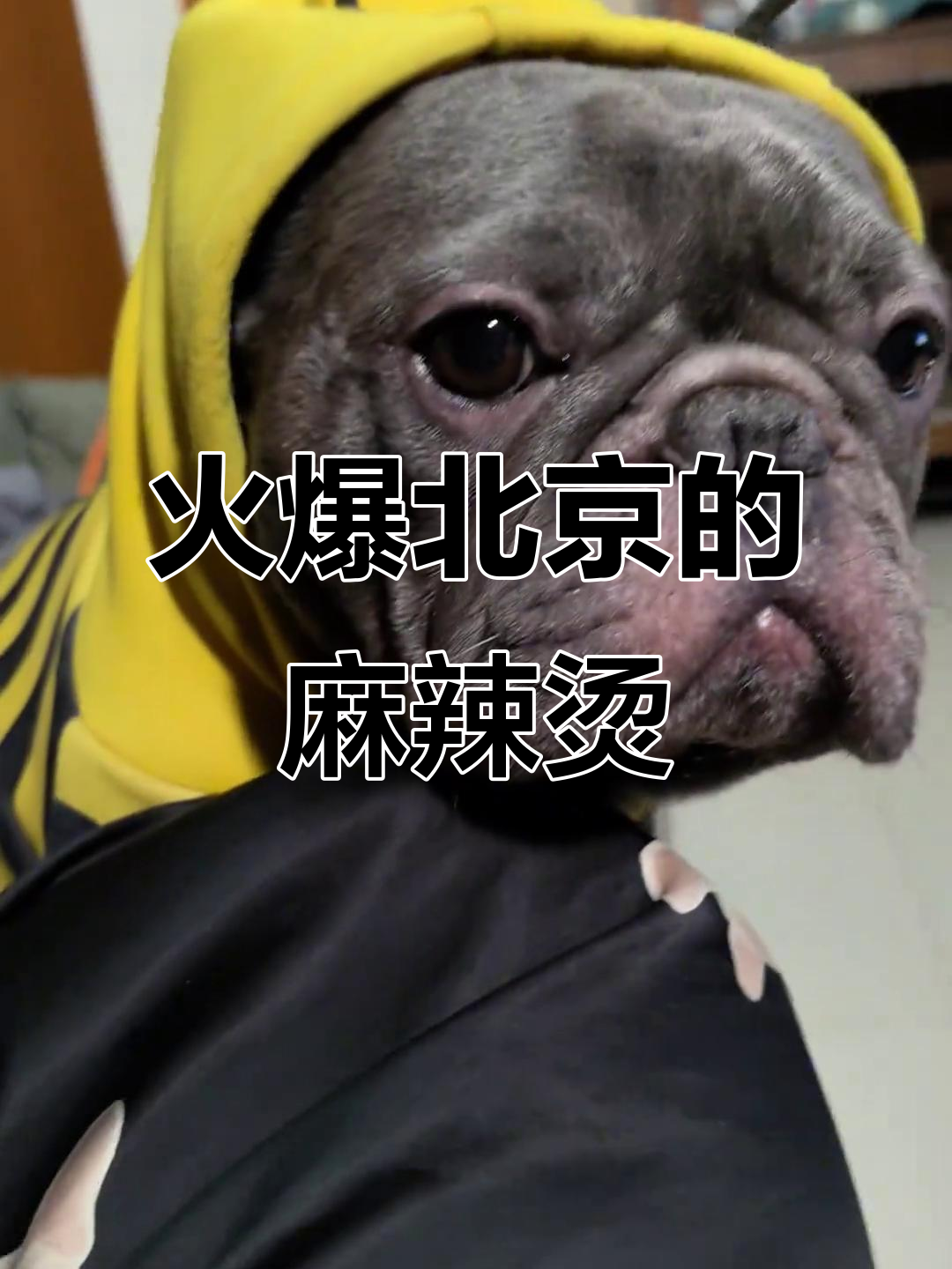 北京麻辣烫大揭秘,面筋鸡肉配小麻将,辣到不敢下嘴!