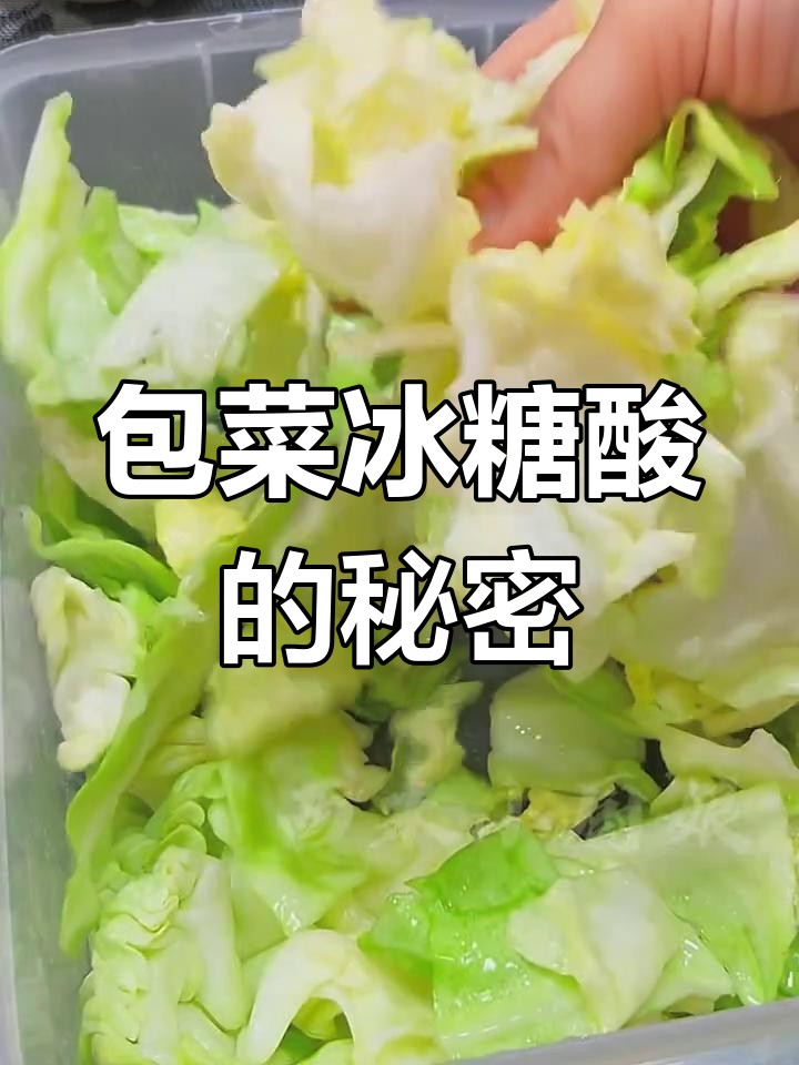 包菜冰糖酸,脆嫩口感秘诀大公开!