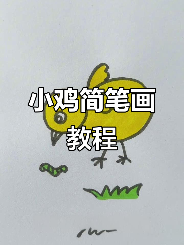 轻松学画小鸡，简单又可爱
