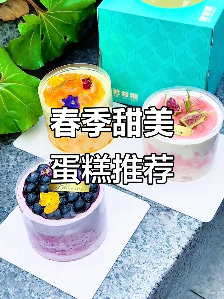 春天味道满满,动物奶油蛋糕带你治愈每一刻