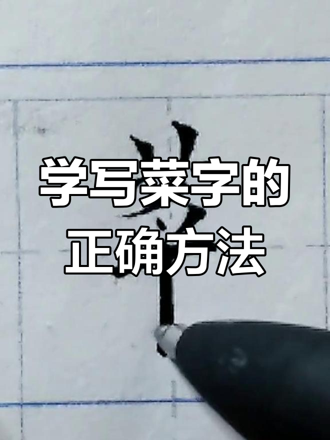 硬笔书写技巧:如何写好“菜”字,避免常见错误