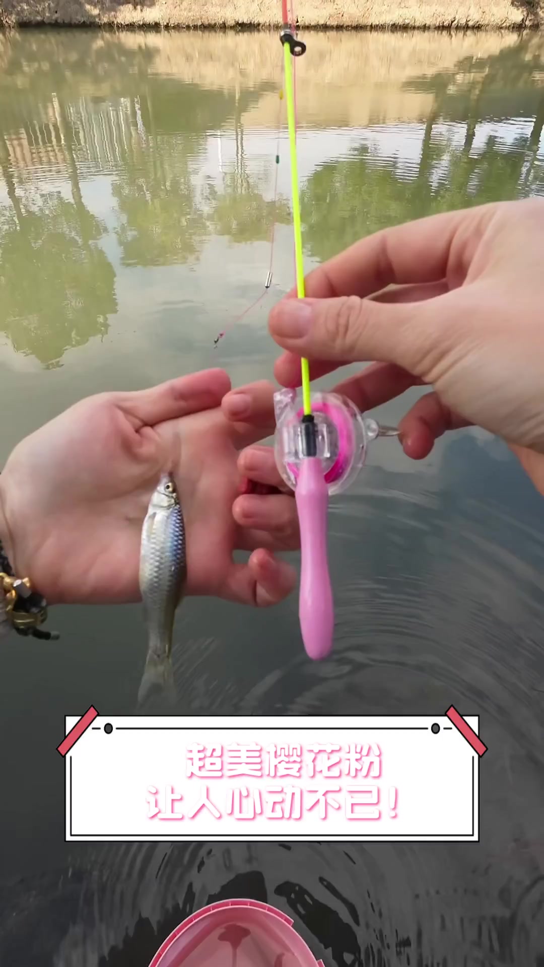 超美樱花粉,让人心动不已!