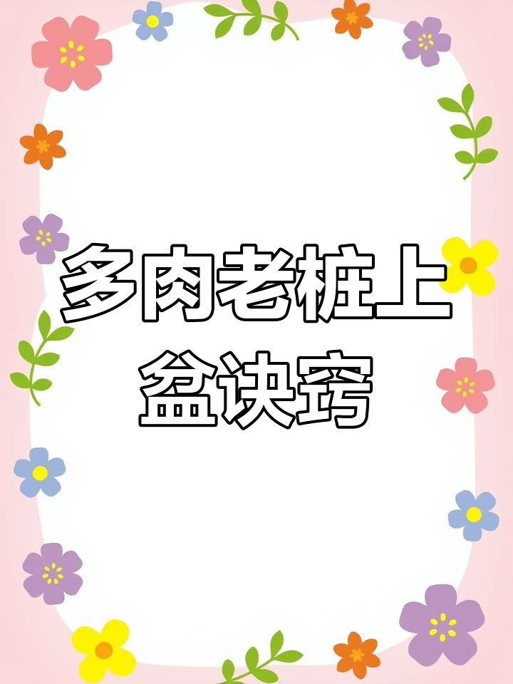 悬崖桩上盆技巧大揭秘,轻松固定造型不倒