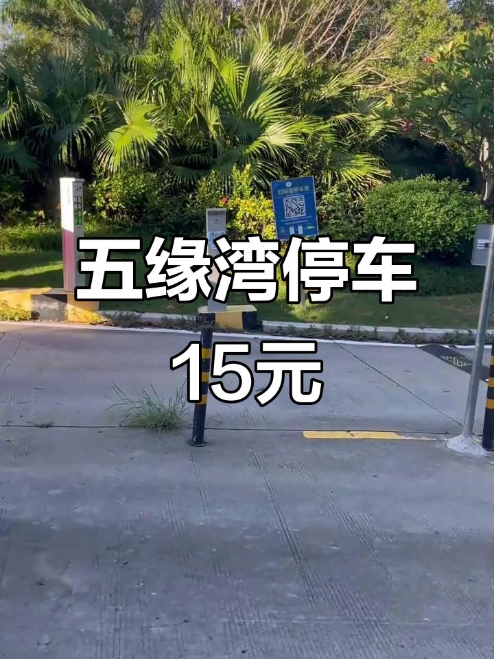 厦门五缘湾湿地停车场:24小时仅需15元,房车与天鹅湖相伴
