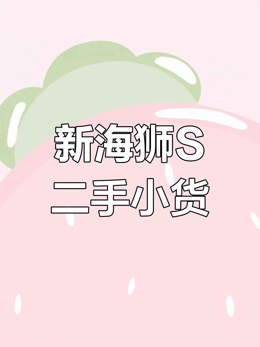 二手新海狮S面包车,两座封闭货车,经济实惠