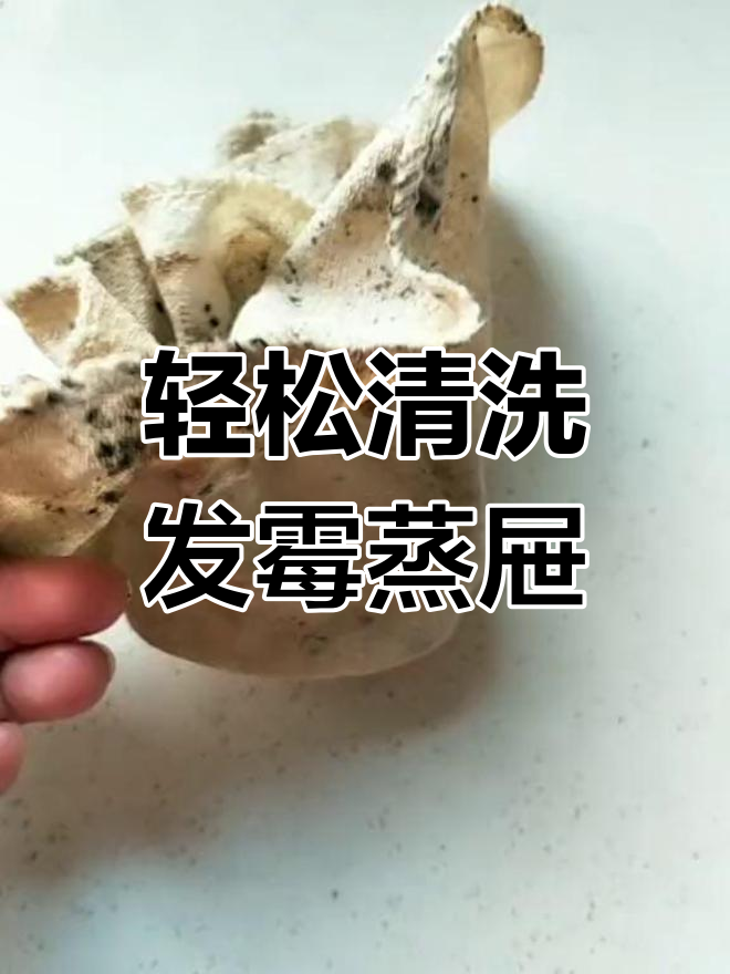发霉蒸屉布轻松翻新,泡一泡效果惊人