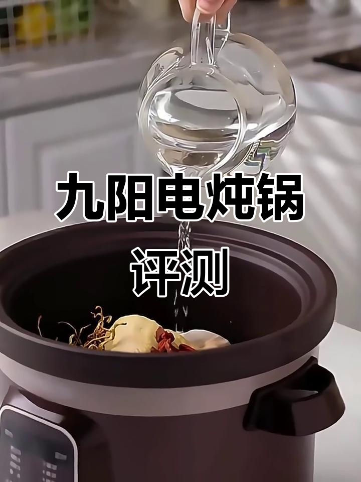 九阳紫砂煲汤锅,电炖功能全解析