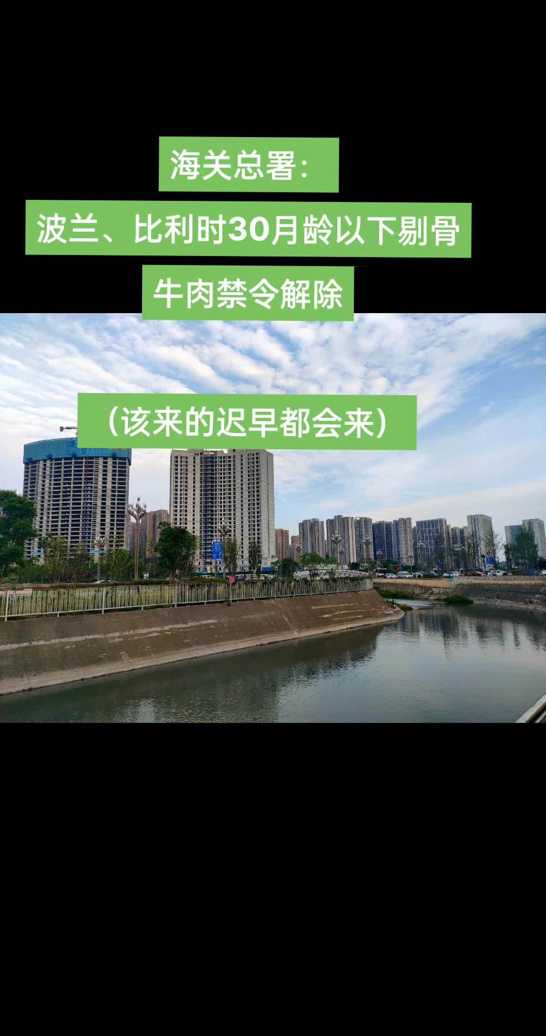 海关总署:波兰、比利时30月龄以下剔骨牛肉禁令解除(该来的迟早都会来)波兰牛肉 比利时牛肉