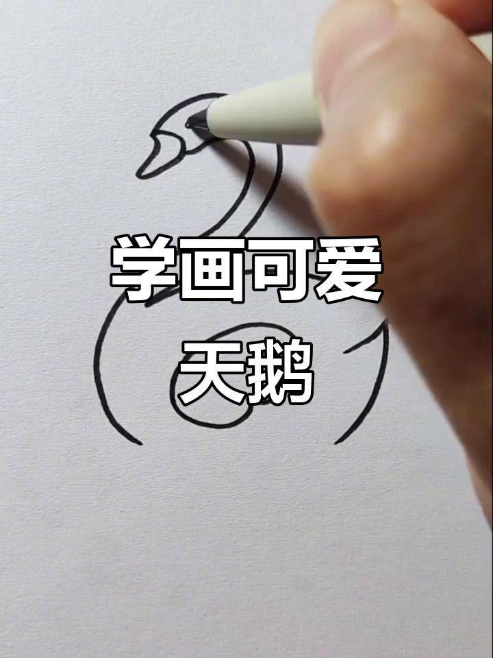 轻松学画白天鹅,简单又有趣