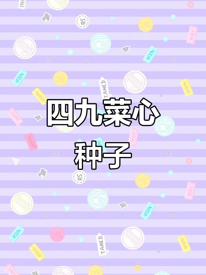 广东四九菜心种子:秋季家庭小院必备,四季常绿蔬菜