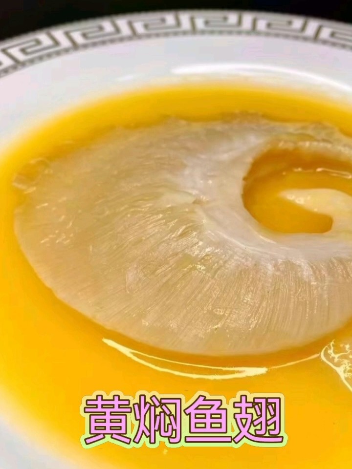 黄焖鱼翅,你今天吃了吗?