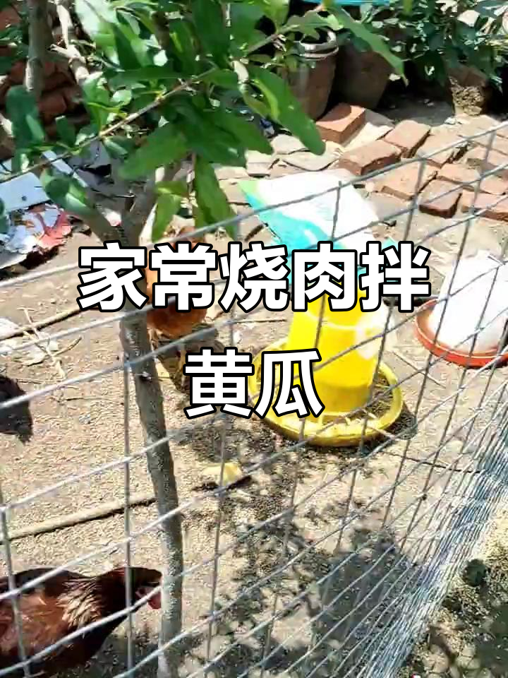 本地特色烧肉拌黄瓜,家常美味轻松做