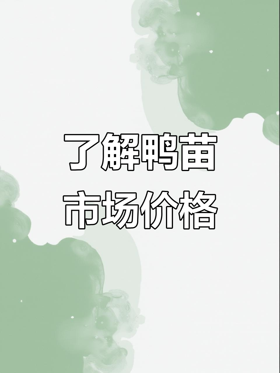 鸭苗价格波动与市场行情,孵化场最新动态