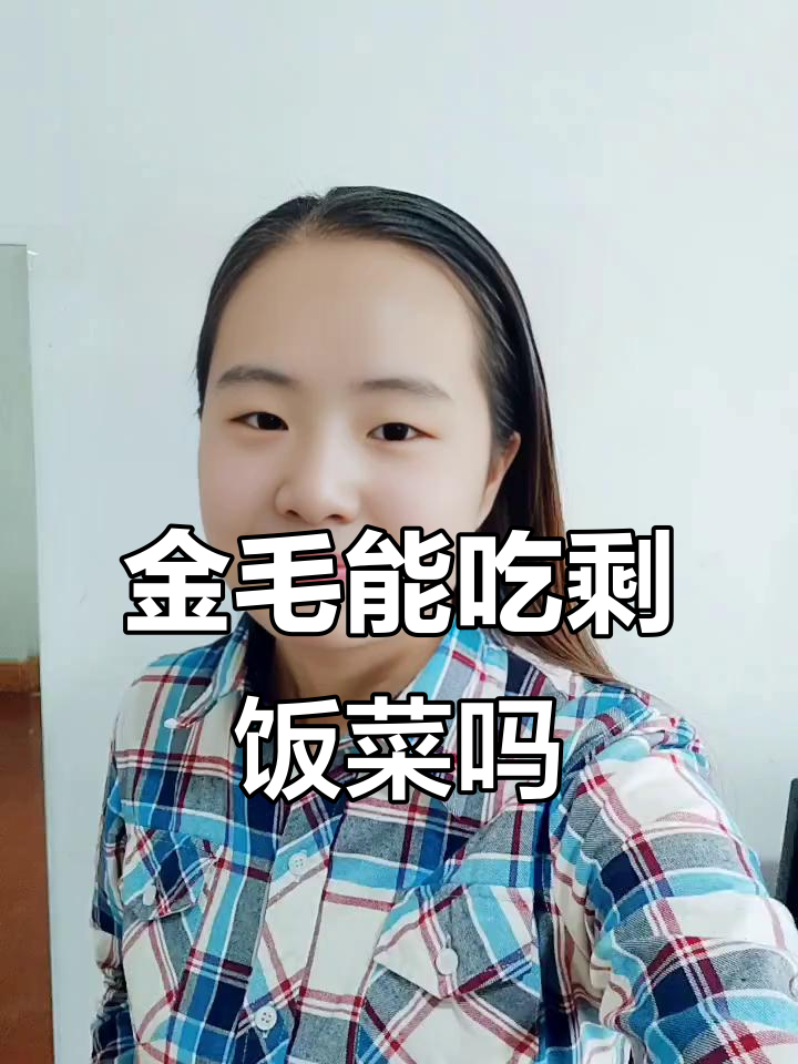 金毛能吃饭菜剩饭吗?健康隐患大揭秘